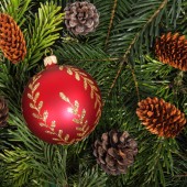 Dankeschön zum Christbaum-Verkauf